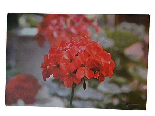 Flower 1