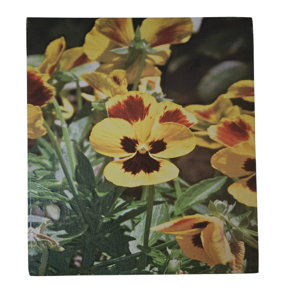 Flower 10