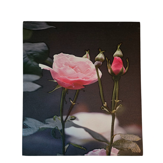 Flower 11
