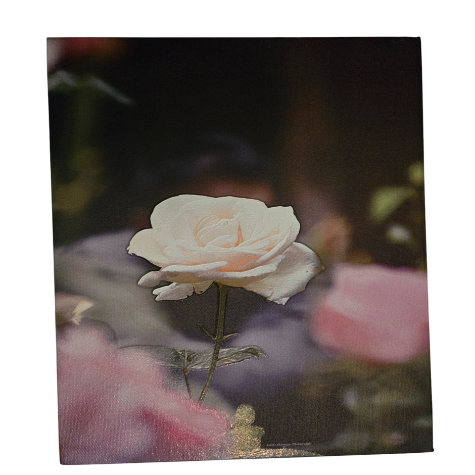 Flower 13