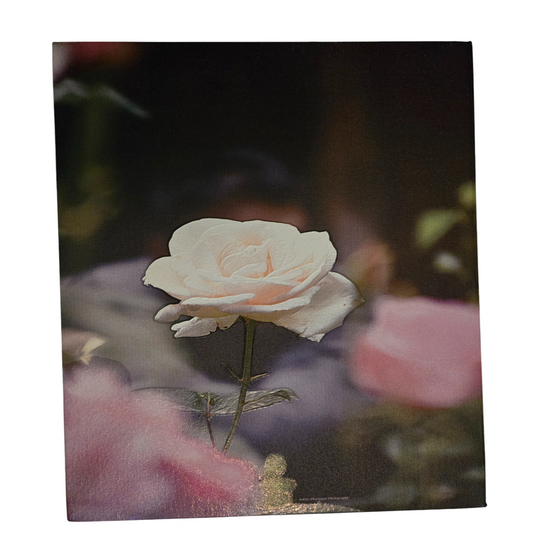 Flower 13