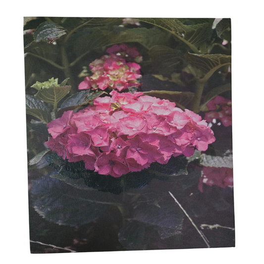 Flower 14