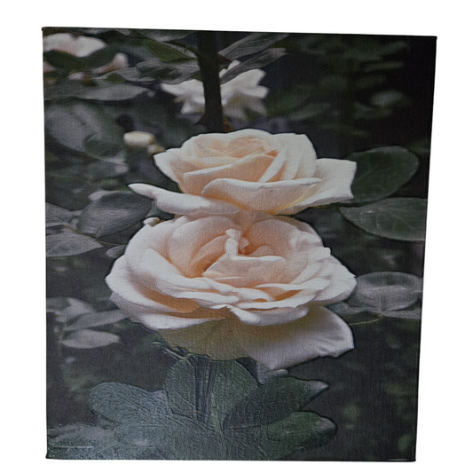 Flower 15