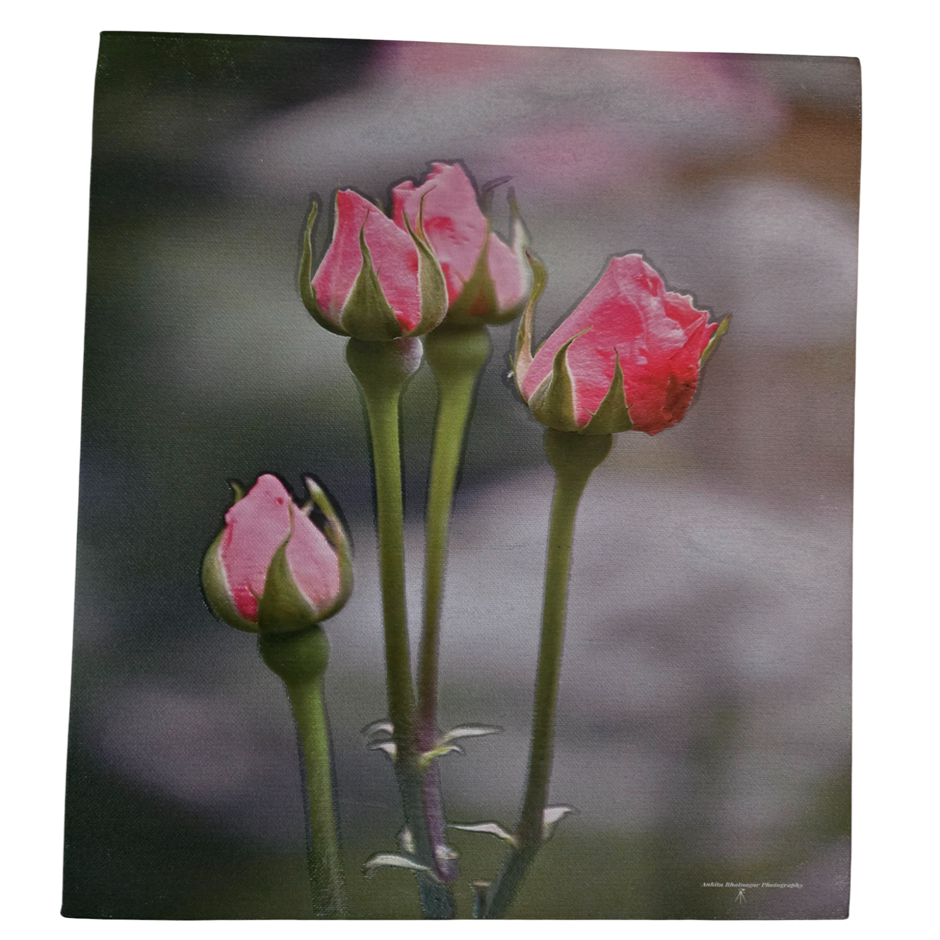 Flower 16