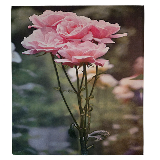 Flower 17