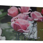 Flower 18