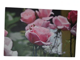 Flower 18