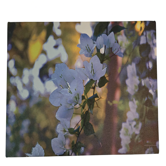 Flower 21