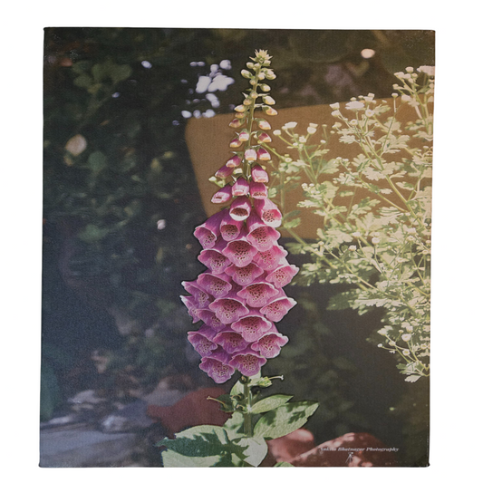Flower 8