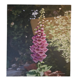 Flower 8